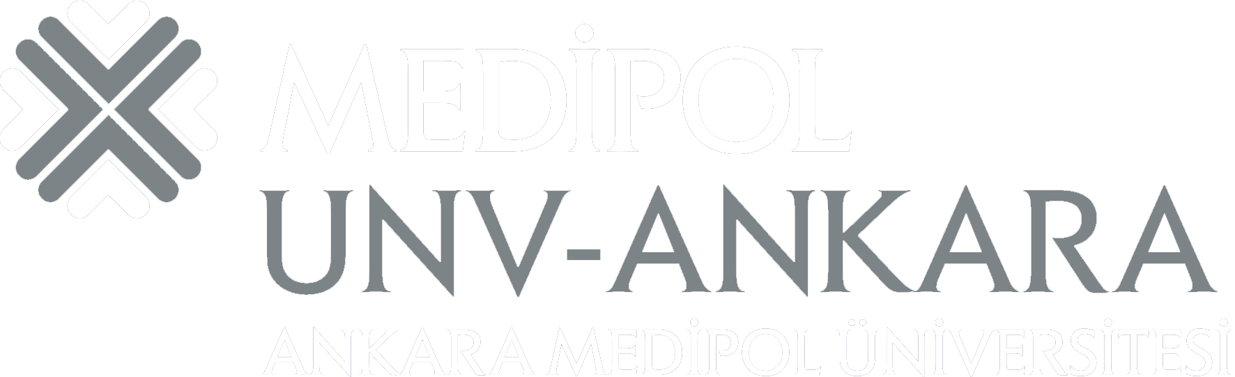 Ankara Medipol Üniversitesi Öğrenme, Gelişme ve Geliştirme Birimi